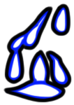 Image of the occurrence